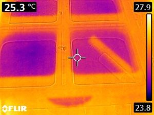 Thermal Image of hornworm rearing container 2 (23.8 to 27.9 C)